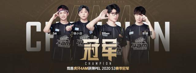 丰富的老将